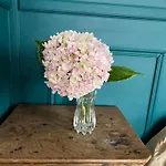 Willa Maison De Maitre Dans Un Village A La Campagne *